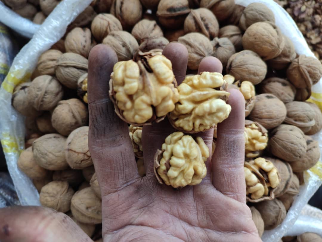 گردو درجه یک