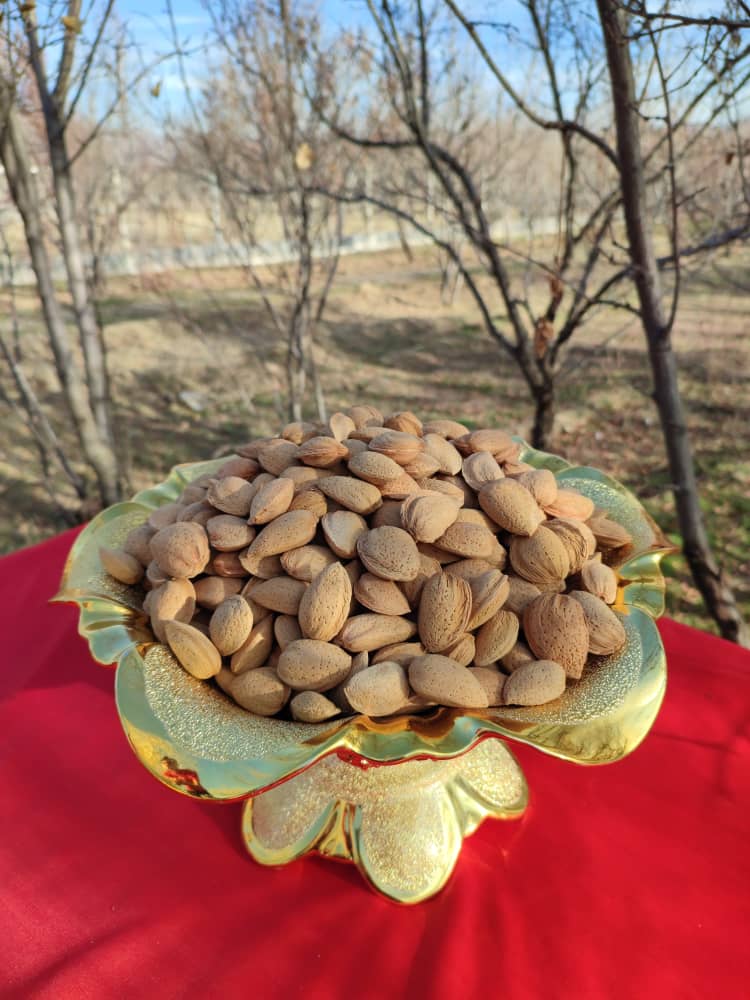 بادام سنگی درجه یک